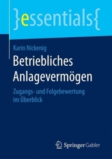 Betriebliches Anlagevermögen