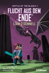 Minecraft - Flucht aus dem Ende