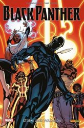 Black Panther - Sturm über Wakanda