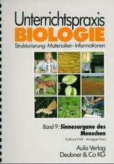 Sinnesorgane des Menschen