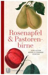 Rosenapfel und Pastorenbirne