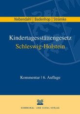 Kindertagesstättengesetz Schleswig-Holstein, Kommentar