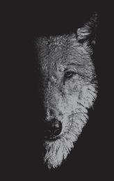  In the Company of Wolves