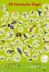 Mein Lernposter: 50 Heimische Vögel