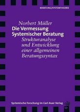 Die Vermessung Systemischer Beratung