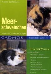 Meerschweinchen