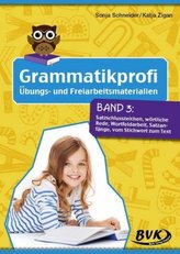 Grammatikprofi: Übungs- und Freiarbeitsmaterialien. Bd.3