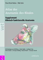 Atlas der Anatomie des Rindes, Supplement