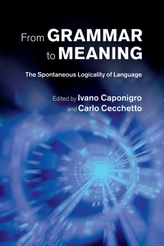  From Grammar to Meaning