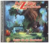 Potz Blitz - Die Zauber-Akademie - Gefahr für das Wunderland, 1 Audio-CD