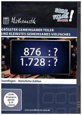 Größter gemeinsamer Teiler und kleinstes gemeinsames Vielfaches, 1 DVD