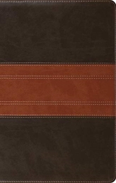  ESV Large Print Thinline Reference Bible