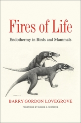  Fires of Life