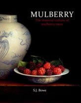  Mulberry