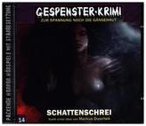 Gespenster-Krimi, Schattenschrei, 1 Audio-CD