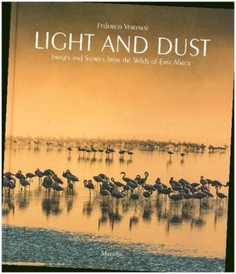 Light and Dust Light and Dust