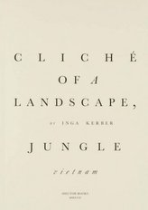 Cliché of a landscape, Jungle (Vietnam)