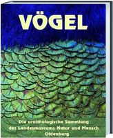 Vögel