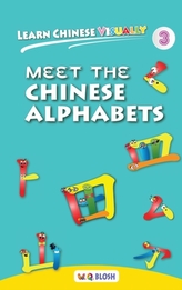  Learn Chinese Visually 3