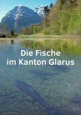 Die Fische im Kanton Glarus