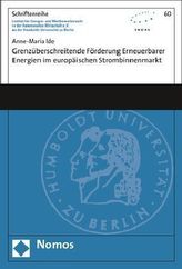 Grenzüberschreitende Förderung Erneuerbarer Energien im europäischen Strombinnenmarkt