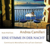 Eine Stimme in der Nacht, 4 Audio-CDs