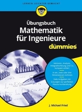 Übungsbuch Mathematik für Ingenieure für Dummies