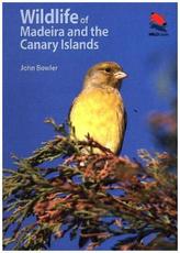 Wildlife of Madeira and the Canary Islands