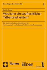Was kann ein strafrechtlicher Tatbestand leisten?