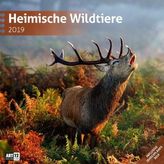 Heimische Wildtiere 2019