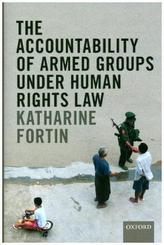 The Accountability of Armed Groups under Human Rights Law