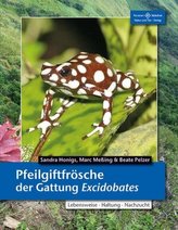 Pfeilgiftfrösche der Gattung Excidobates