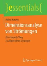 Dimensionsanalyse von Strömungen