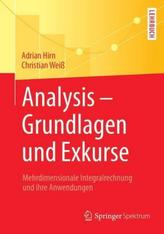 Analysis - Grundlagen und Exkurse