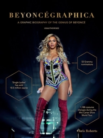 Beyoncégraphica Beyoncégraphica