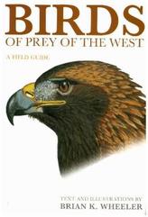 Hawks of the Western USA & Canada