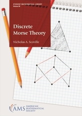  Discrete Morse Theory