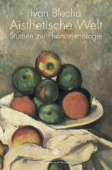 Aisthetische Welt