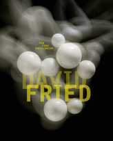David Fried