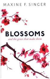 Blossoms
