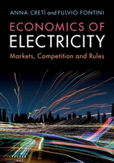  Economics of Electricity