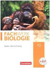10. Schuljahr, Schülerbuch