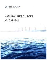 Natural Resources as Capital