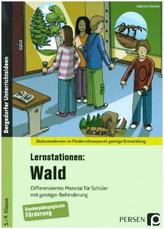 Lernstationen: Wald