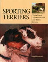  Sporting Terriers