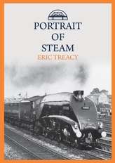  Portrait of Steam