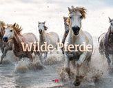 Wilde Pferde 2019