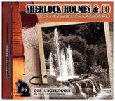 Sherlock Holmes & Co - Der Jungbrunnen. Tl.1, 1 Audio-CD