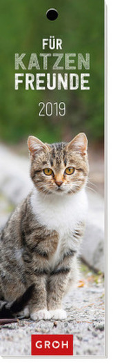 Für Katzenfreunde 2019