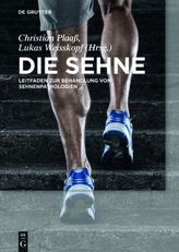 Die Sehne